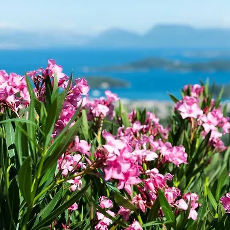 Villa The View Complex Nydri (Lefkada)